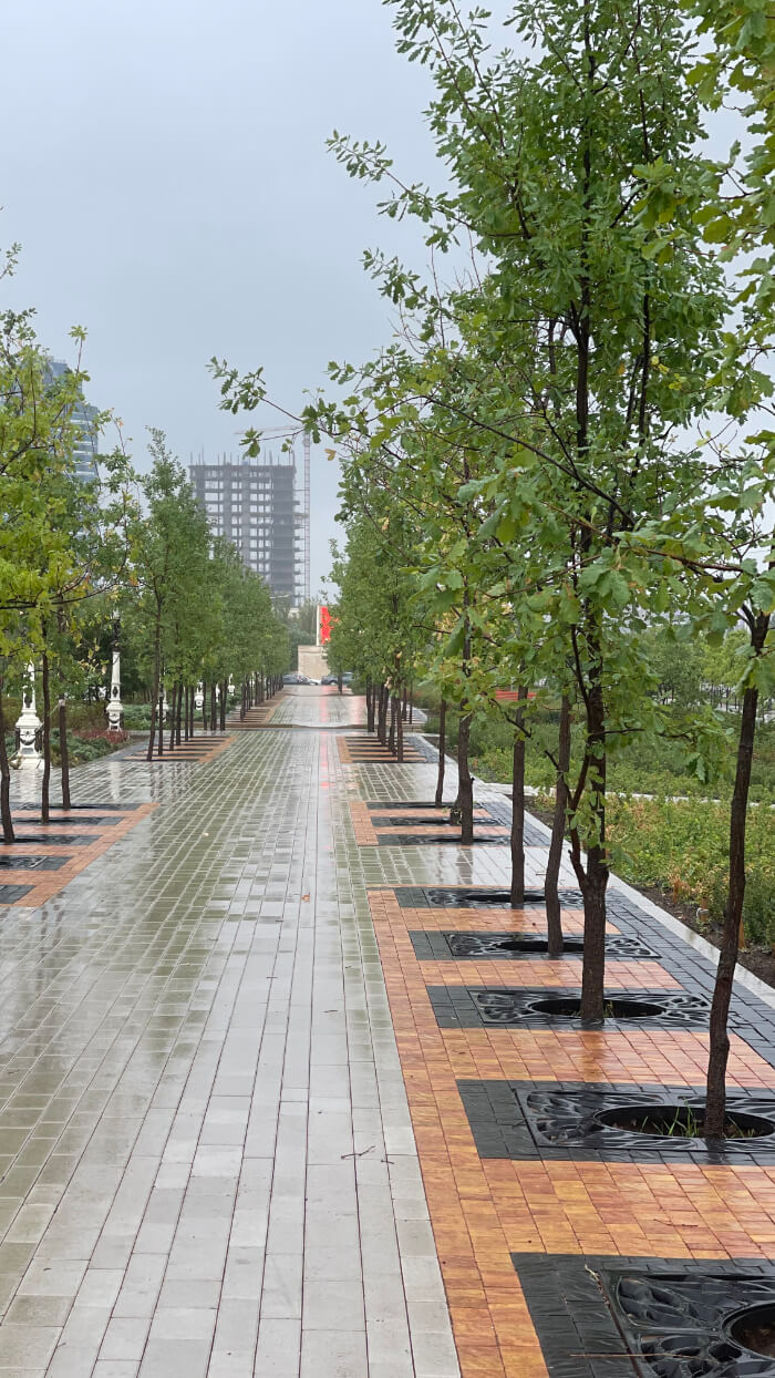 Приствольная решетка для дерева ZKING CRUST 1.2х1.2м Черная в Перми фото